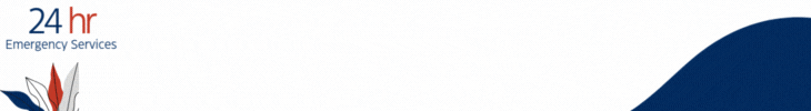 spot_img