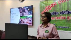 एकडारा गाउँपालिका वन प्राविधिक अधिकृत निशा साह