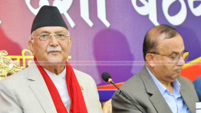 kp-oli